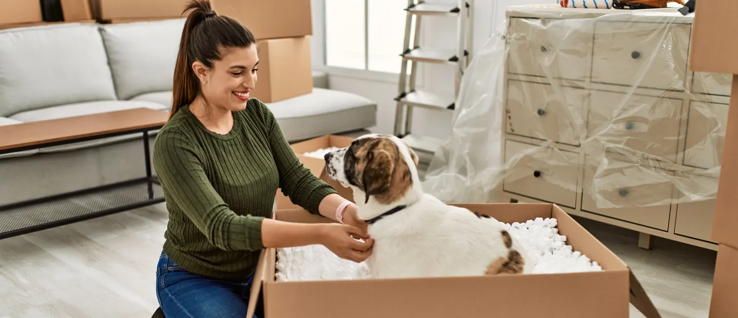 a featured image of How to Move With Pets - Local, Long-Distance & Abroad